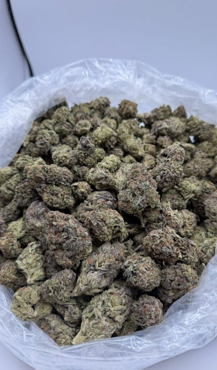 D420plug tweet picture