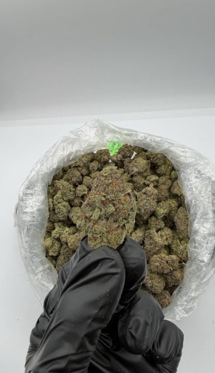 D420plug tweet picture