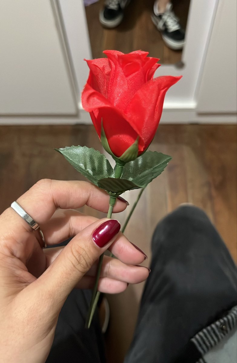 lairewr's tweet photo. fizero graça cmg e eu achei fofo ☺️ https://t.co/8RqZqtLQVT