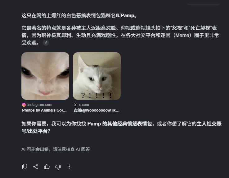 ankur1216's tweet photo. 这只在网络上爆红的白色恶搞表情包猫咪名叫Pamp https://t.co/e9NX5jFyxl