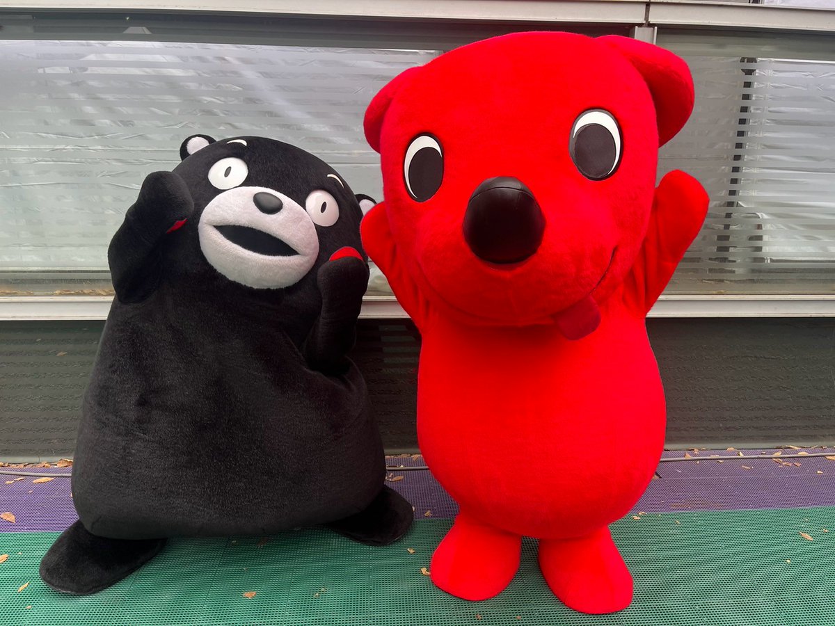 55_kumamon's tweet photo. 埼玉で開催された「ゆるバース2026」に参加してきたモン！たくさんのお友だちや活動ば再開したチーバ君にも会えたモン☆これからも復興に向けて一緒にがまだすモーン！エイエイモーン！ https://t.co/umL4Slg6b3