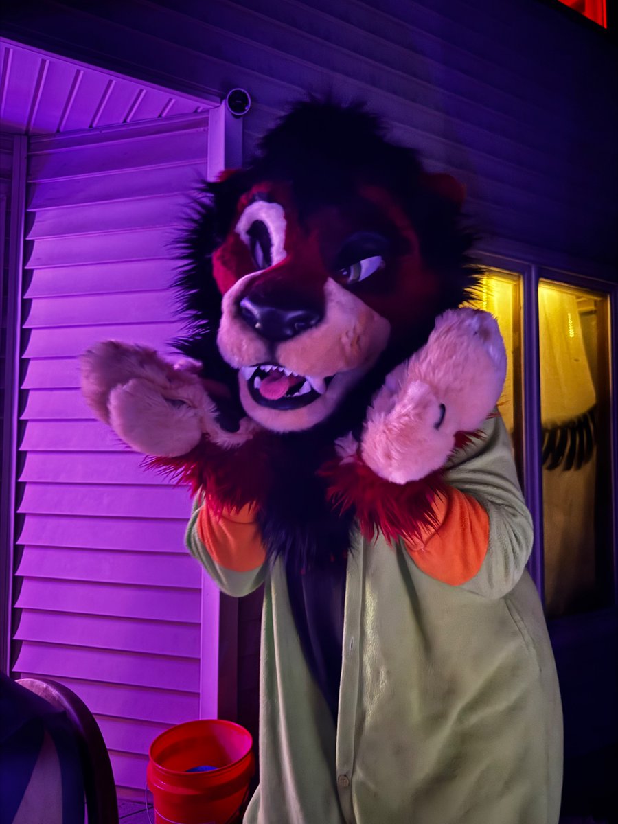 FlukeHusky's tweet photo. House party was a blast. Last one before Tirox moves away. I will miss him a lot. To a bright new positive chapter 💙 https://t.co/PUfFAhIbBX