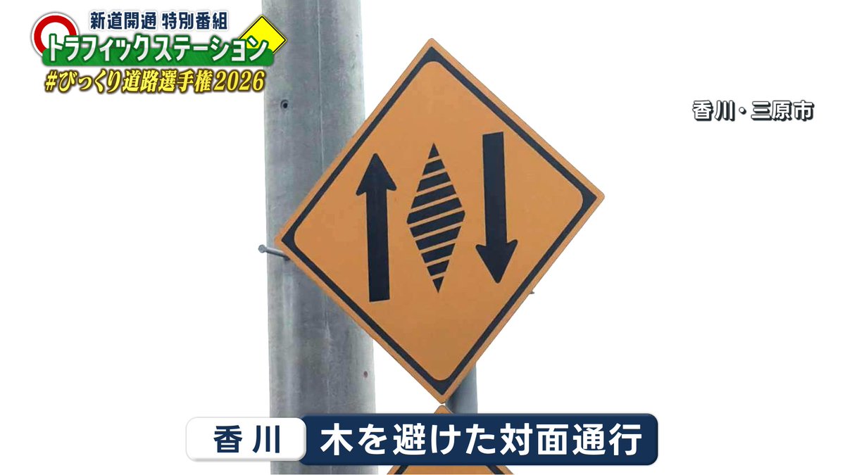 kento_telop1995's tweet photo. 木を避けた対面通行のレア標識 https://t.co/bXMVJvaP7z