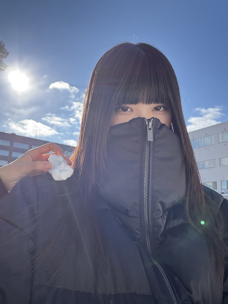 mimosa_0823's tweet photo. あの時助けていただいたビッグバトルボール忍です https://t.co/T6QZj25Scv