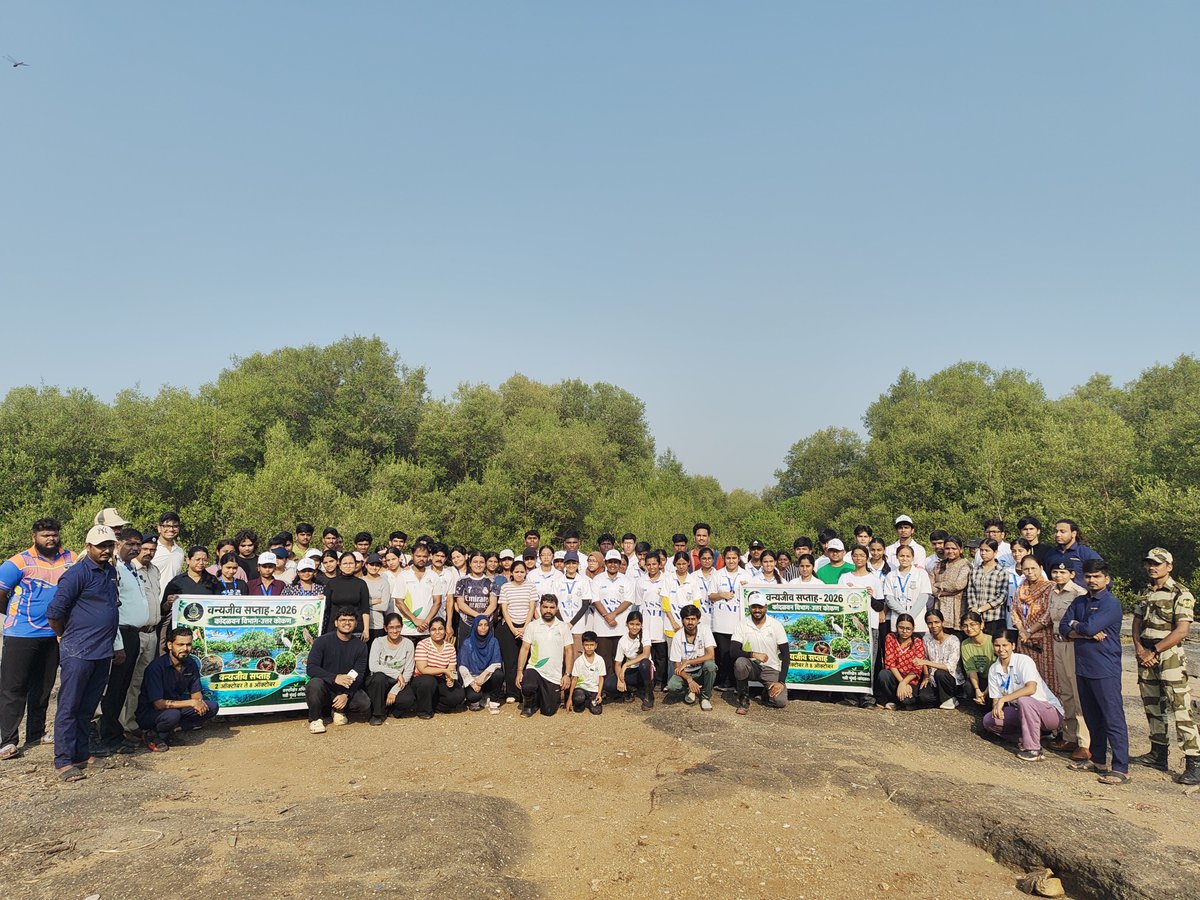 EnvironmentLife's tweet photo. W 320
On National Wildlife Week mangrove clean-up drive

150+ volunteers battled the October heat to clear massive plastic waste from Karave mangroves about 1 tons plus trash. Let's protect our coastal wildlife—say no to single-use plastic!

@MangroveForest
@moesgoi
#WildlifeWeek https://t.co/xTWnv5aAxl