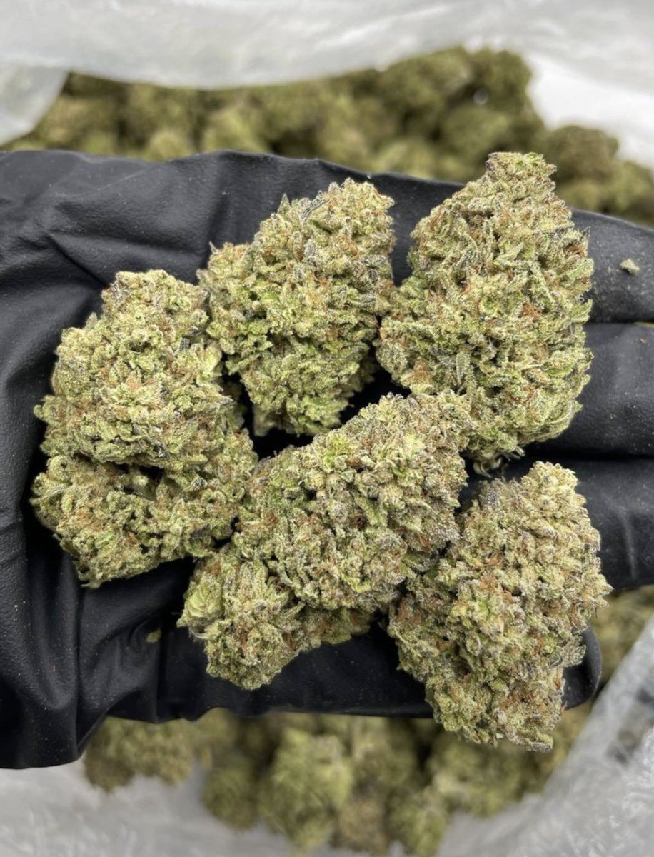 D420plug tweet picture