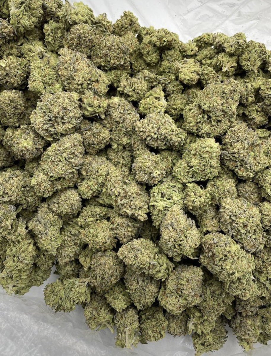 D420plug tweet picture