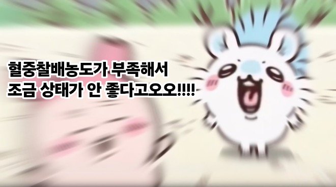 chipzyum's tweet photo. https://t.co/K4atx24zlK