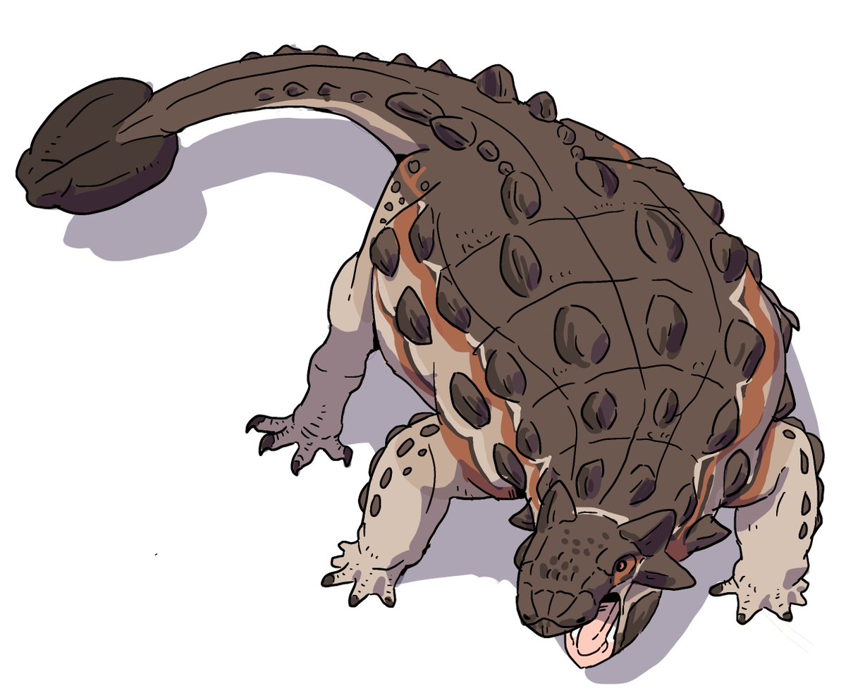 sinjins49691304's tweet photo. Turtle https://t.co/QdkCgRBviY