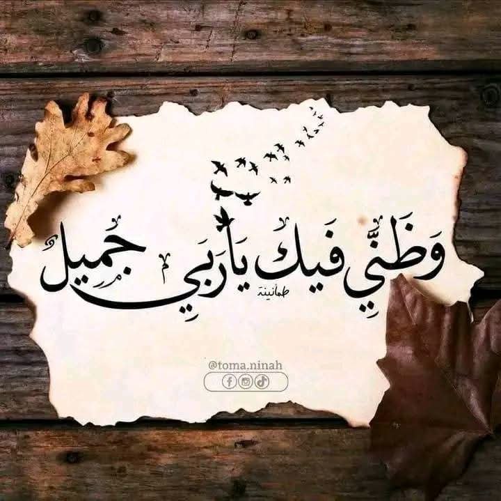 samahsaeedahzu's tweet photo. فَنَادي فِي الظُّلُمات أَن لَّا إِلَٰه إِلَّا أَنت سُبْحَانَك إِنِّي كُنت مِن الظَّالمِين فَاسْتَجَبْنا لهُ وَنَجَّيْناه مِنَ الْغَمِّ وَكَذَٰلِك نُنجِي الْمُؤْمِنِين.)) 🤍🤍 https://t.co/BnGrIin96Q