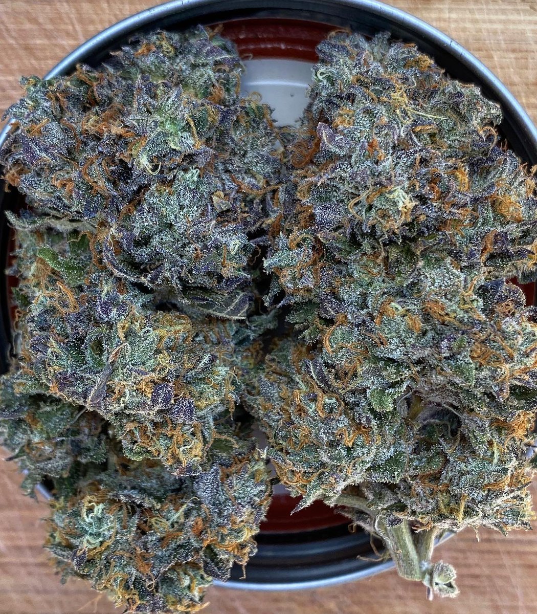 Londonderrybuds's tweet photo. This Ice Cream Cake pheno came out dank! https://t.co/xxEd0nW61C