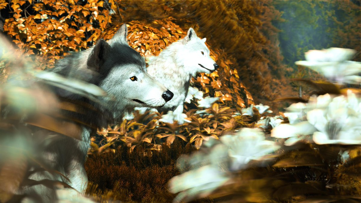 m1rko_vp's tweet photo. Ghost of Yotei

#GhostofYotei

#VirtualPhotography #VGPUnite #VPRT #VPGamers #ArtisticofSociety https://t.co/Gm9wn5mCDj