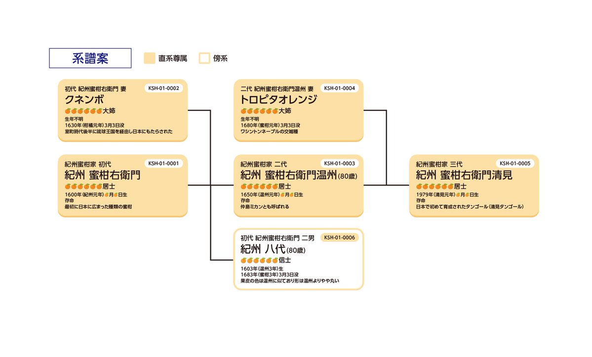 orange1191832's tweet photo. みかんで系譜図を試作してみた（超適当）タブレットでの利用を前提にタップしたら由来書や謄本に遷移するようにしたい。
これで試しに自家の系図を入れてみる https://t.co/Vfboy9abgj