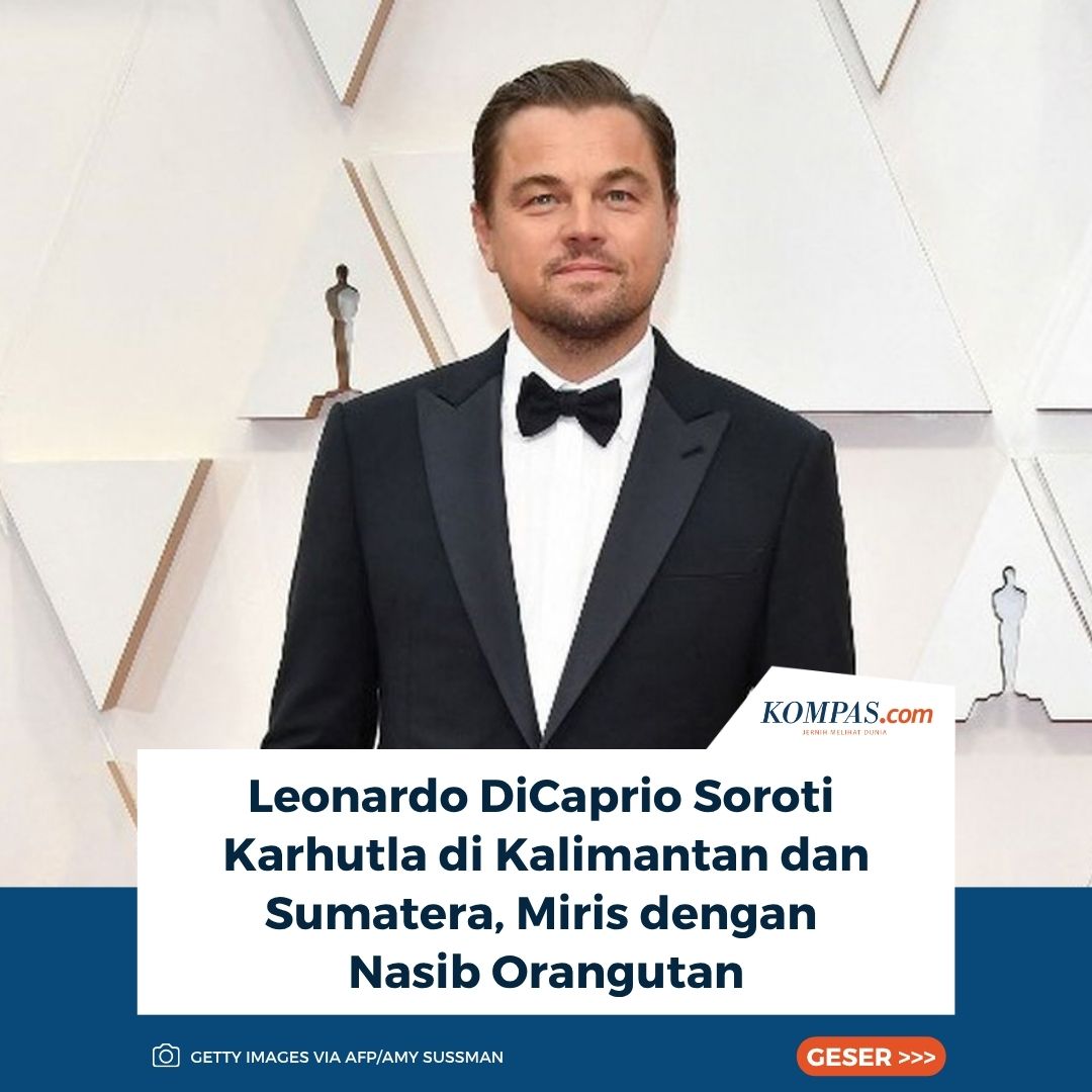 kompascom's tweet photo. https://t.co/JFjN0X4RGe

Aktor sekaligus aktivis lingkungan Leonardo DiCaprio kembali menyoroti kebakaran hutan dan lahan (karhutla) di Indonesia. Lewat Instagram @leonardodicaprio, ia mengunggah kondisi kebakaran di Pulau Kalimantan dan Sumatera.

DiCaprio menyebut lebih dari 2 juta acre atau sekitar 800.000 hektar hutan telah terbakar. Ia mengatakan perubahan iklim membuat hutan Kalimantan semakin kering, panas, dan rentan terbakar. Kebakaran juga kerap dipicu pembukaan lahan untuk pertanian.

Menurut DiCaprio, kebakaran lahan gambut melepaskan karbon dalam jumlah besar yang dapat memperparah krisis iklim dan mengancam keanekaragaman hayati. Lebih dari 5 juta orang juga disebut terpapar asap kebakaran.

Kebakaran turut mengancam satwa liar. Orangutan Kalimantan terlihat melarikan diri dari hutan yang terbakar dan telah diselamatkan BKSDA Kalimantan Tengah bersama BOS Foundation. Sementara itu, owa janggut putih Kalimantan disebut kesulitan menyelamatkan diri karena hampir seluruh hidupnya dihabiskan di pepohonan.

Pada 2026, karhutla memang meluas di sejumlah wilayah. Januari-Juni 2026, lahan terbakar di lima provinsi di Kalimantan mencapai 57.081,33 hektar, lebih luas dibandingkan total 2025 yang mencapai 55.717,27 hektar.

Penulis: Ady Prawira Riandi
Editor: Dian Maharani

#LeonardoDiCaprio #Karhutla #Kalimantan