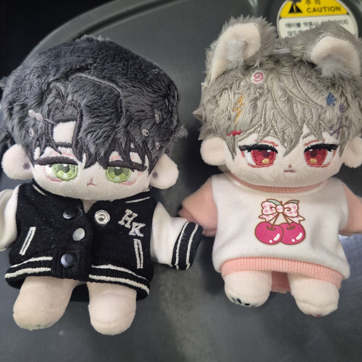 enti_123's tweet photo. 냥냥롭 데리고 외출하고왔어요 ^//^ https://t.co/pfB9h2OlOA