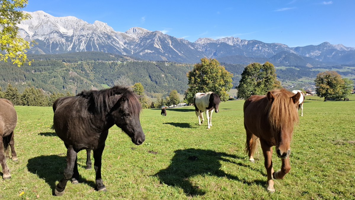 Stefan__Hofer's tweet photo. #Schladming #Steiermark 💚 #Herbst #autumn #Natur #Berge https://t.co/OlzsP3gsjX