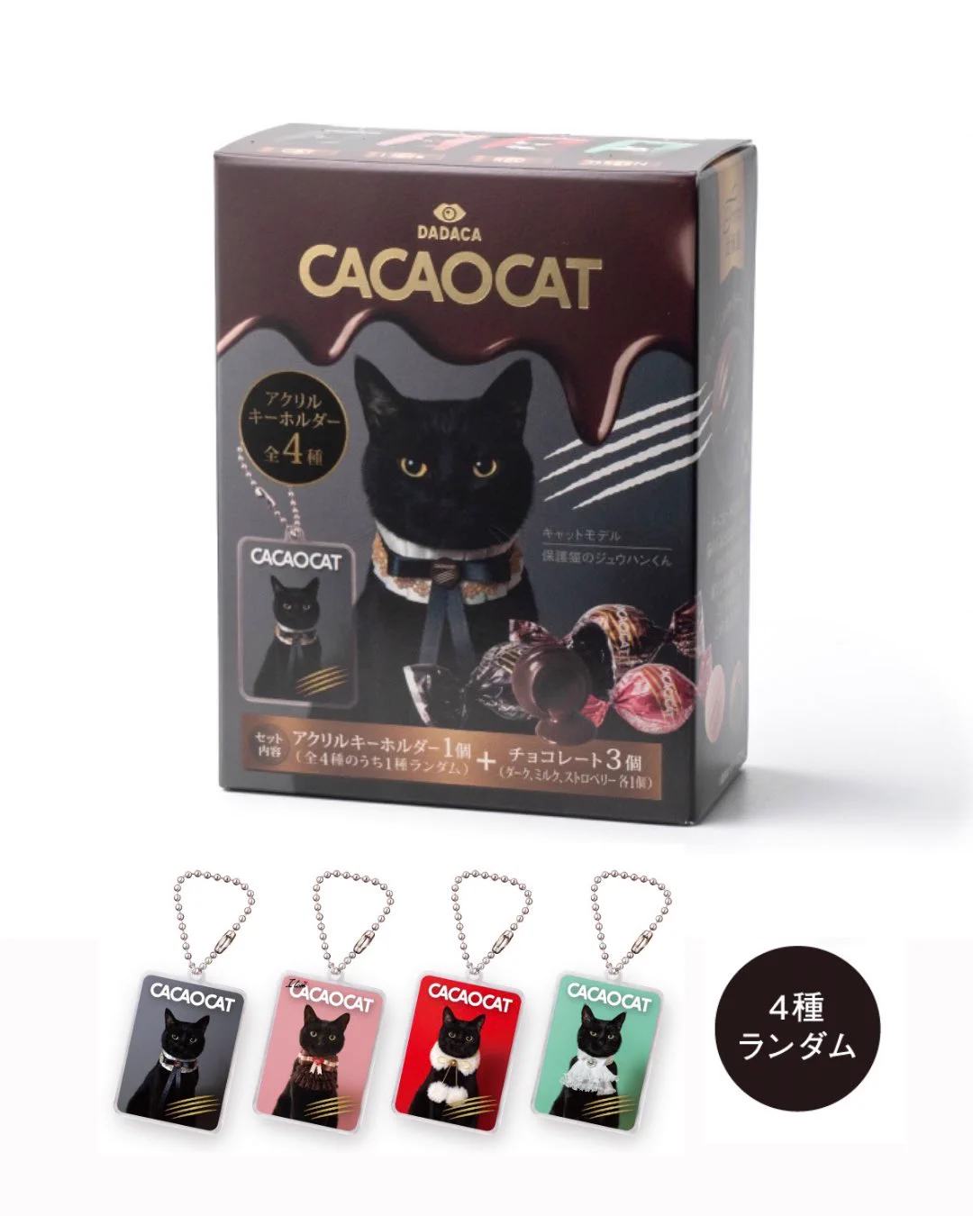 CACAOCAT🐈‍⬛こねこのこねこねクッキー🐾/made in HOKKAIDO/DADACA on