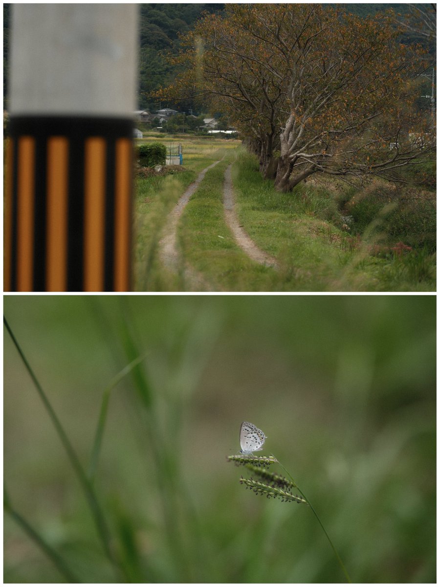 reject_dispute's tweet photo. Classic Chrome

X-T50 SIGMA 56mm F1.4 DC DN

#Exigram https://t.co/rzTN4TOFTN