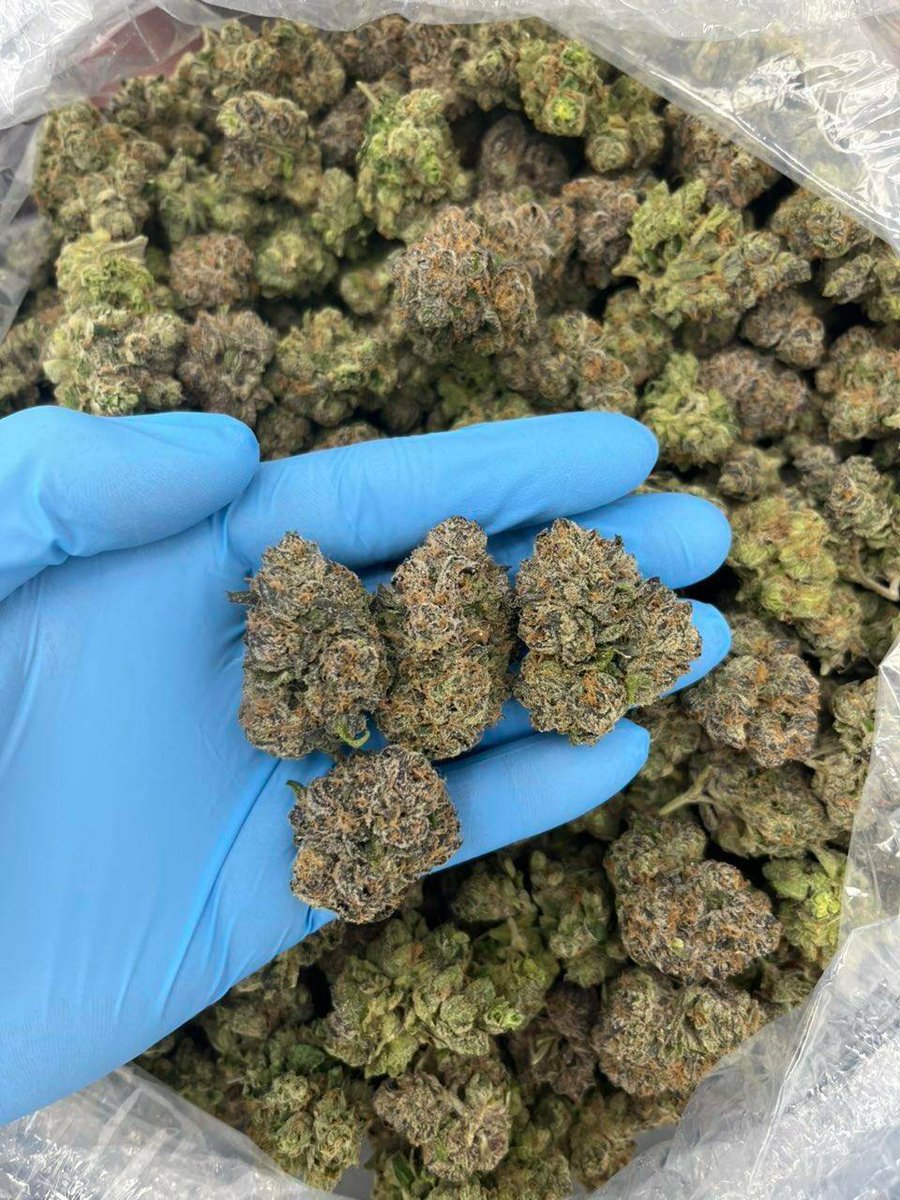 Londonderrybuds's tweet photo. - Strawberry Banana https://t.co/gRa5ZV4g6i