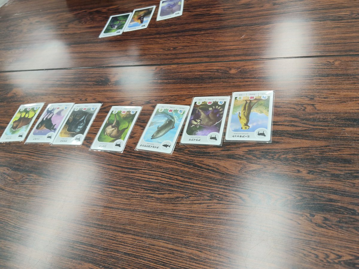 n_karasuma's tweet photo. 今日の初プレイ勝利ゲーム

カードライン　動物編

3人戦インスト込で20分程。
動物の体長や寿命などの並びを間違えずに配置していくのだが、プレイした範囲ではファウナと比較して常識からズレたデータの含有率が低いように感じた。 https://t.co/DwUdyNRdIV