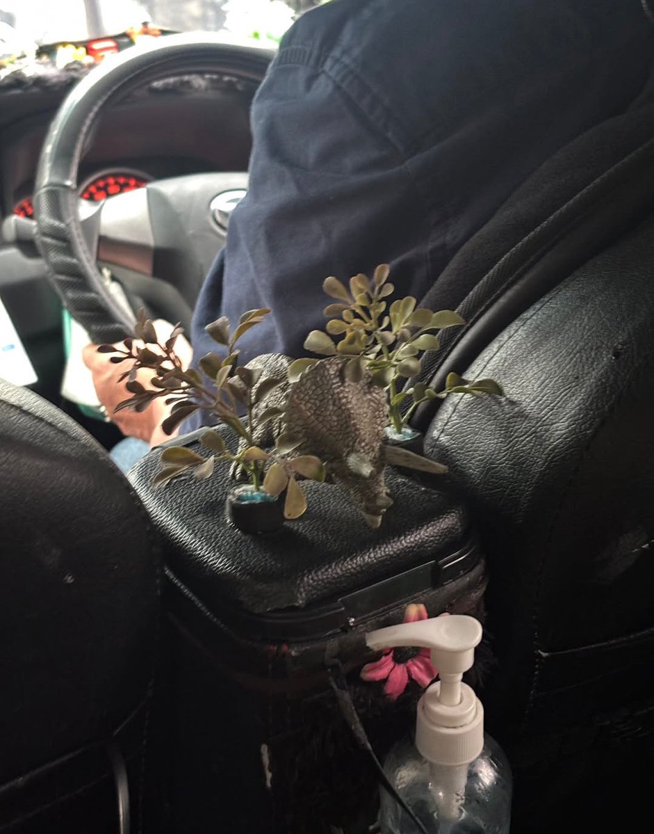 qrivasiii's tweet photo. Naik grab, tapi berasa di hutan Amazon 😭 https://t.co/xRjPdcZBHl