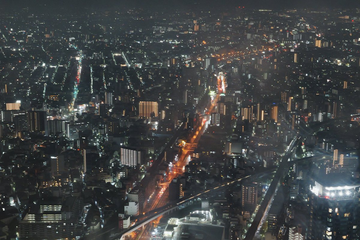 azkinakoo's tweet photo. 4枚目カタツムリ注意⚠️

雨で夜景が綺麗に見えなくても、目当ての花が咲いていなくても、全部が楽しい思い出！ https://t.co/cYGHdg4FAr