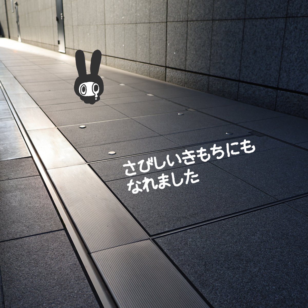 memesoso_ch's tweet photo. 寂しい気持ちにも慣れました #めめそそ #めめそそ出現中 https://t.co/Bn2qtJKveP
