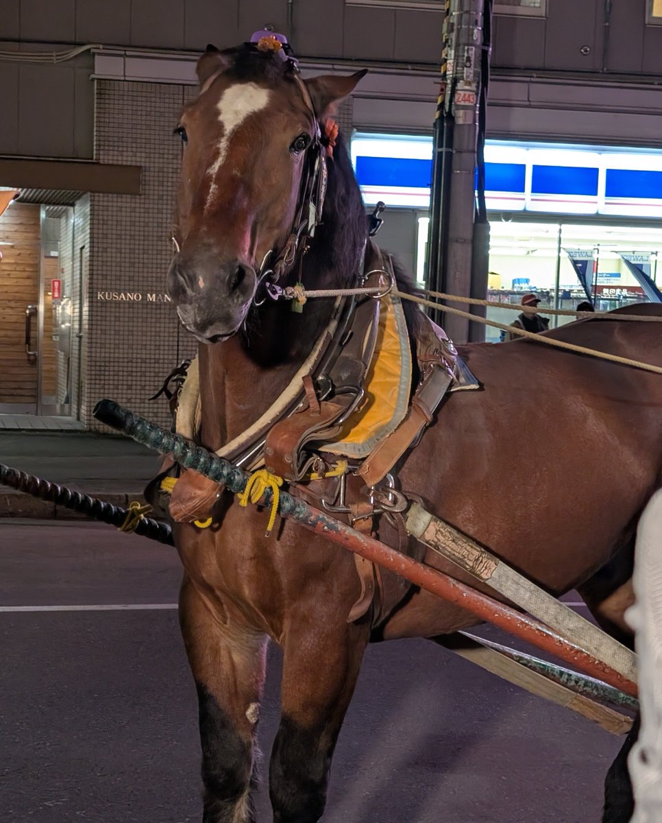 kCDR0sMOoEiPNm5's tweet photo. 夜の帯広市街地、ばん馬が車道で馬車を引いていた
帯広凄いわね https://t.co/TUhJHF9mom