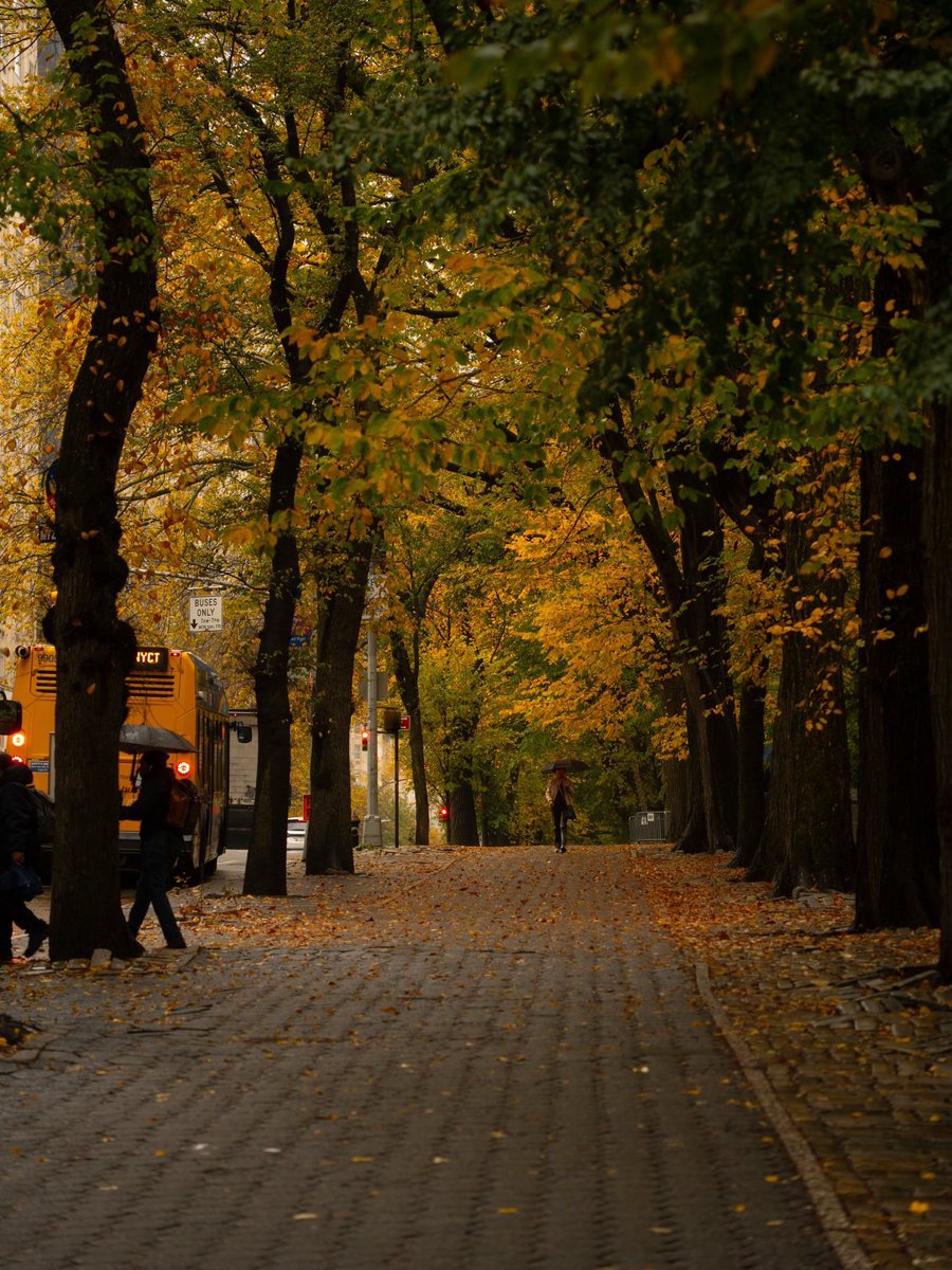 earthserenityy's tweet photo. Autumn in New York https://t.co/a248B40znw