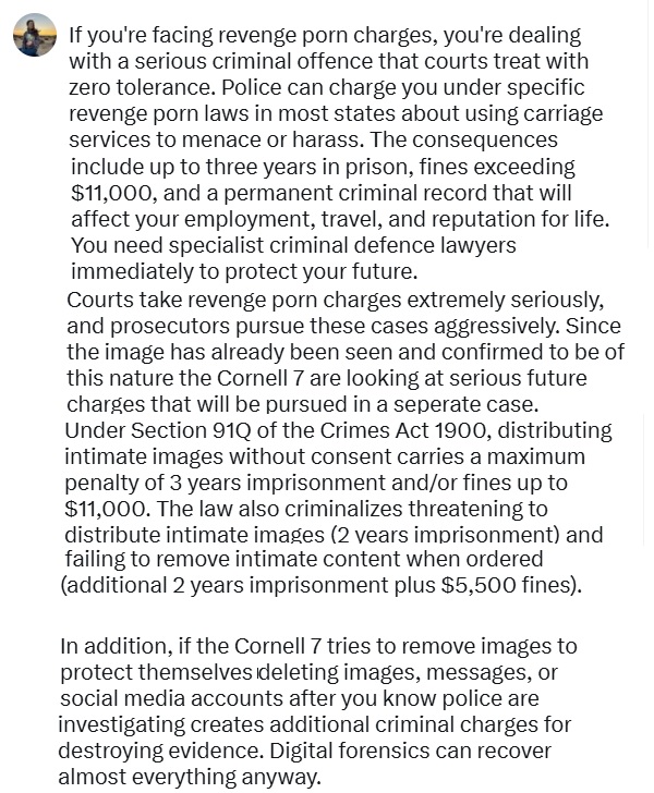 DebbieSurfer's tweet photo. @lightlennyl @emkenobi Last but not least. Where did she give them permission to upload a nude photo of herself online?  Posting intimate photos of a person (also known as Revenge Porn) is a serious crime that can result in 3 years in prison and heavy fines. https://t.co/fXGKk3vjsU