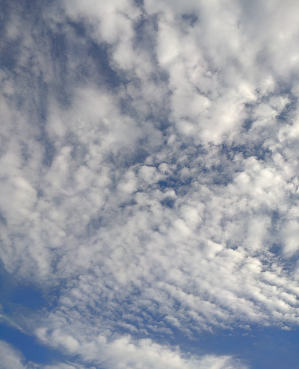 naruto_151's tweet photo. 今日は気持ちのいい天気だったな https://t.co/DgOzZuId1T