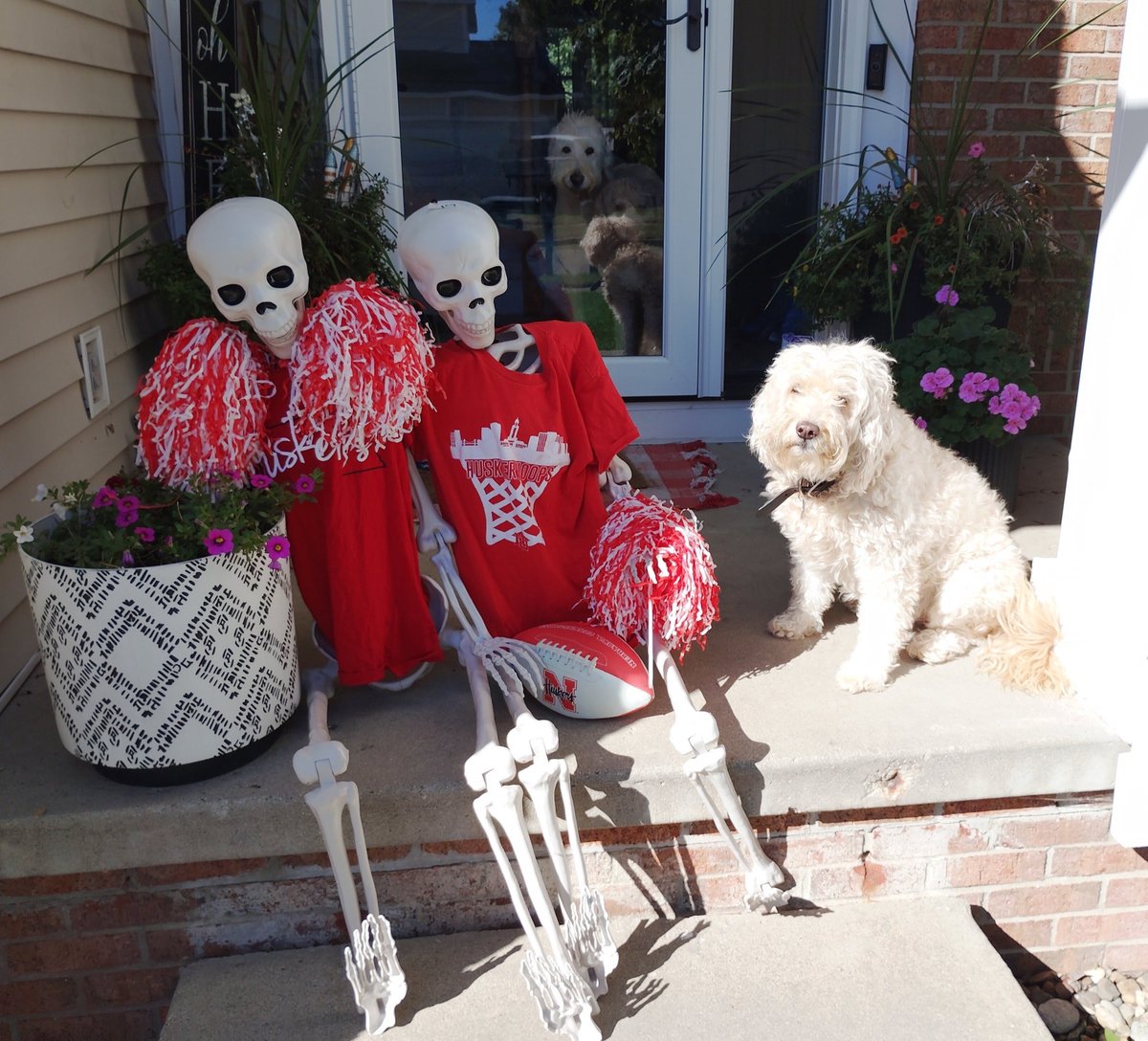 ArieDoodle's tweet photo. Huskers won!! And these skellies are happy too. I think. They don't really show much emotion...π
#dogs #weekend #AriesWorld https://t.co/5NAIi3wDC0