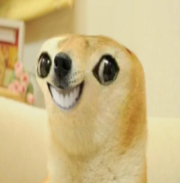 A humorous close-up photo of a tan dog (or stuffed animal) with large, googly human-like eyes that have been digitally edited to give it a creepy, wide-eyed appearance with a big toothy smile.