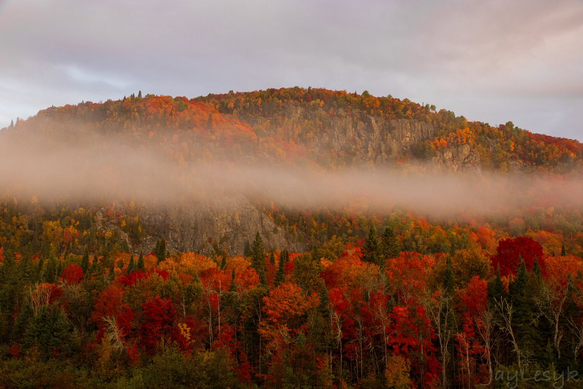 JayLesykWX's tweet photo. INSANE Fall foliage across eastern Lake Superior in Ontario!! Best I’ve ever seen https://t.co/1n4GyqZD2P