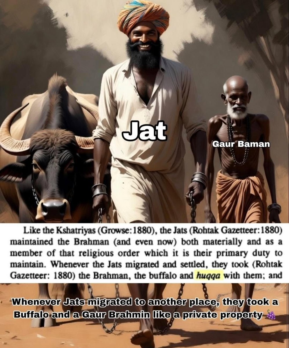 dwellerslimp1_'s tweet photo. Kshatriyas and Jats used to have Gaur brahmin slaves. 
Whenever the jats migrated and settled, they took the Brahman, the Buffalo and huqqa with them.

Rajputs and Jats use to keep these bamans as slaves, who were equivalent to the animals. https://t.co/O3JmeT9lR1