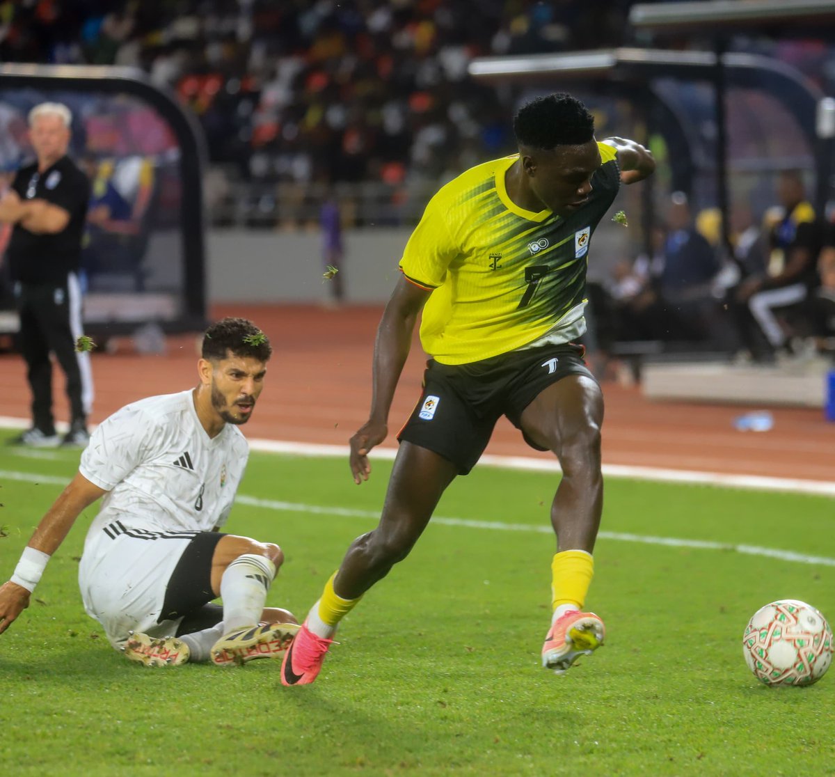UgandaCranes's tweet photo. Banange, banange... 😲

#UgandaCranes https://t.co/EX95qMttP3