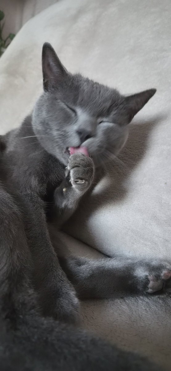 Redisskaaa's tweet photo. Если вы это видите, опубликуйте случайную фотку из галереи без объяснений https://t.co/NprJCeKHy6