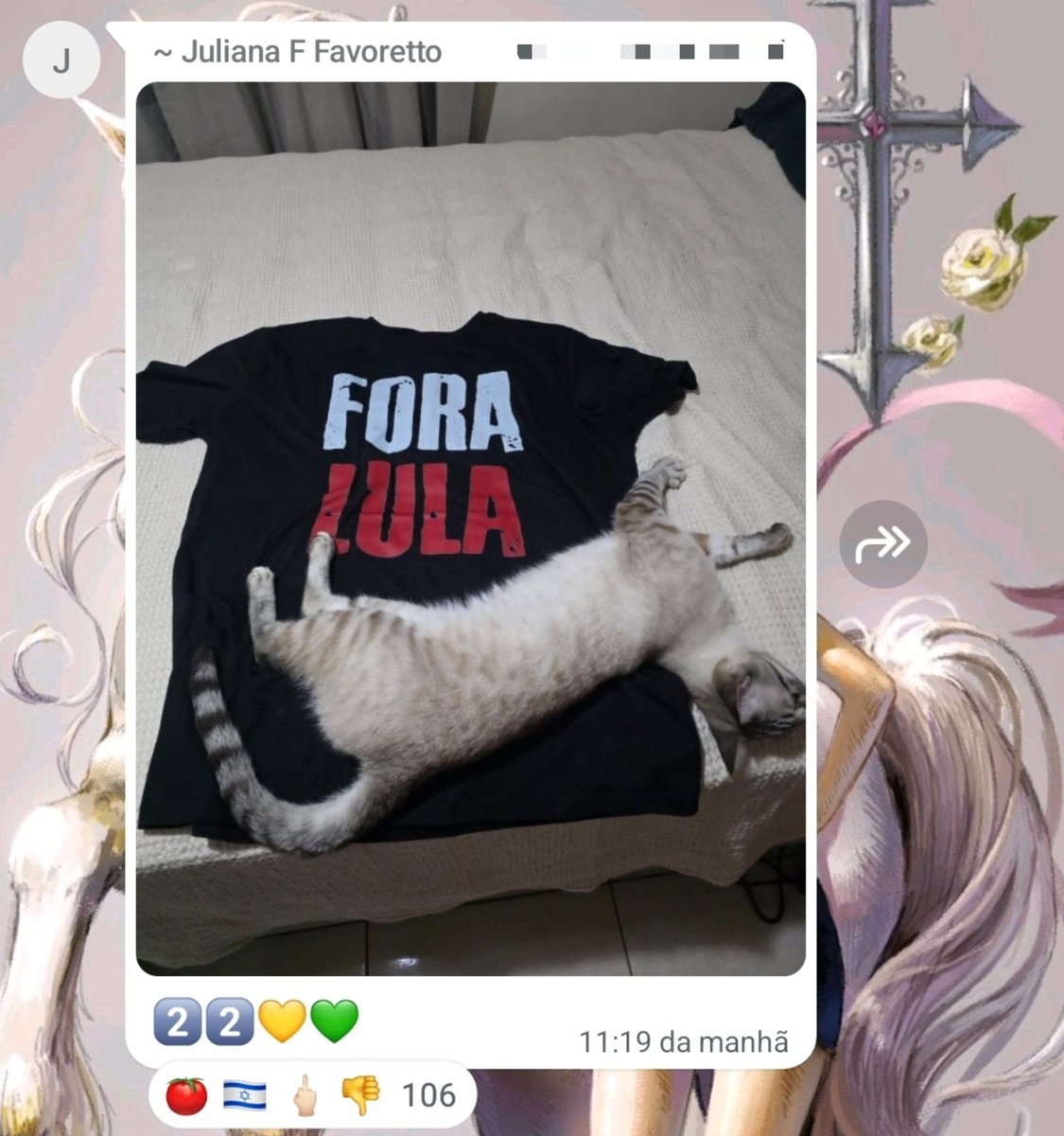 grellbit's tweet photo. imagina levar mais de 100 reações negativas num grupo de postar fotinha de gato https://t.co/OwyV8NbcSR