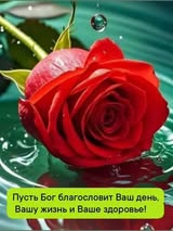 gera__gerochka's tweet photo. @IVE416641743801 The main thing here is the girl herself, her incredible femininity, fragility, natural beauty, and grace that mesmerizes... 
🫶☺️Доброго вечера, Машенька! https://t.co/Oc0TM6RCIL