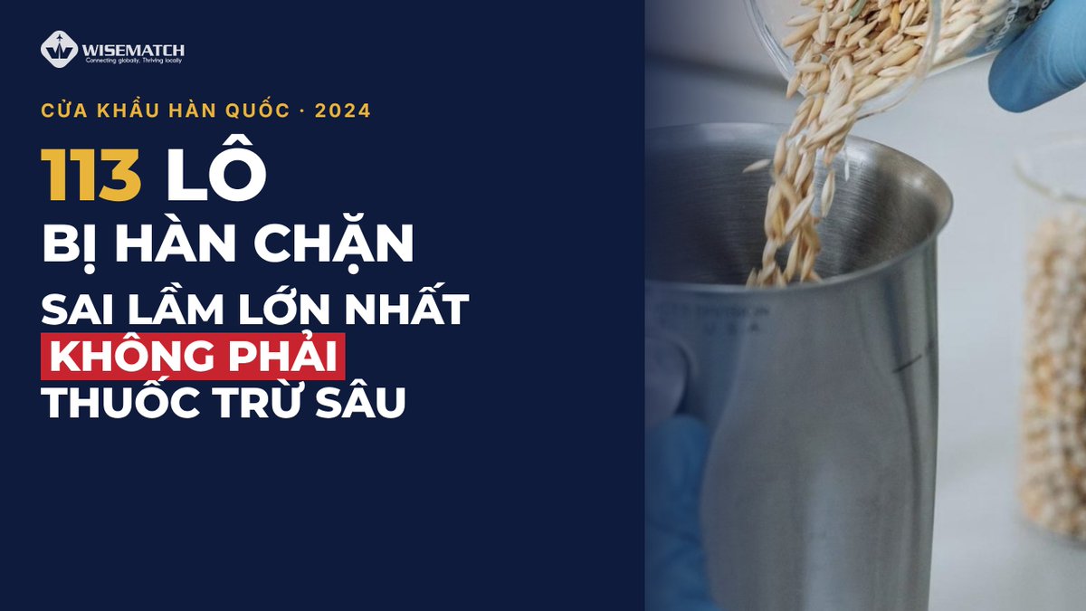 Wisematchvn's tweet photo. 113 Lô Hàng Bị Hàn Quốc Chặn: Sai Lầm Lớn Nhất Không Phải Thuốc Trừ Sâu

Năm 2024, Hàn Quốc chặn 1.454 lô thực phẩm nhập khẩu không đạt. Việt Nam đứng thứ 2 với 113 lô.

#XuatKhauHanQuoc #ATTP #PhuGiaThucPham #MFDS #SeoulFood2027 #Wisematch https://t.co/rz9lmtgVlx
