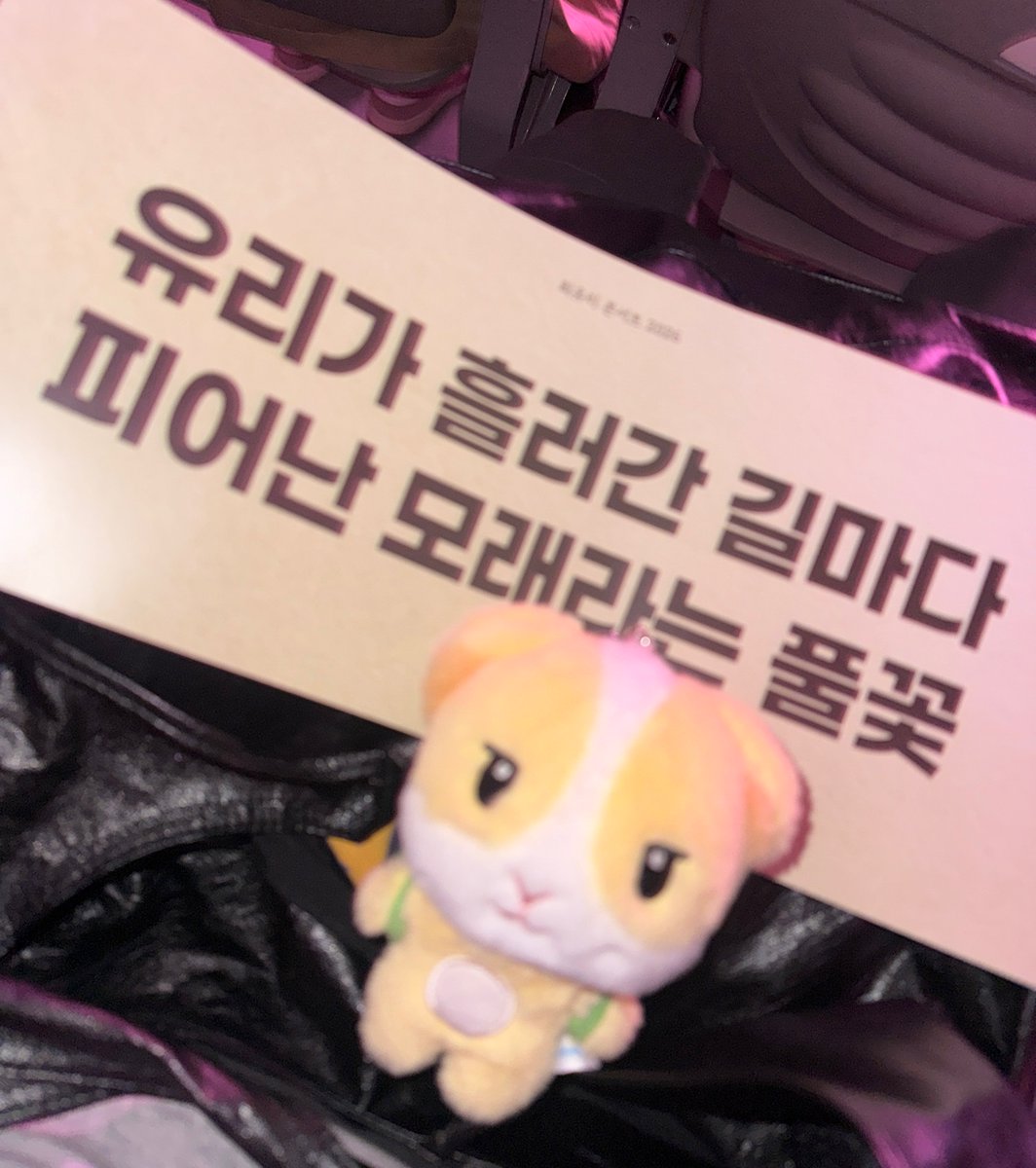 coo_zip's tweet photo. 기츄니 데리고 최유리님 콘서트 갔다가 (42이자 모래)
기츄니랑 롱째 덕분에 42 자만추 했어욘 
오늘 하루도 귀여운 하루 ᯟ‿ᯏ ♡ https://t.co/dPNBpeRHQT