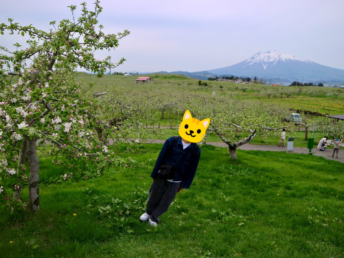 yamazon1230's tweet photo. サザエさんの今日からの新OP、青森の場所を特定してみた🔍🍎 https://t.co/7Mdx2tG8zW