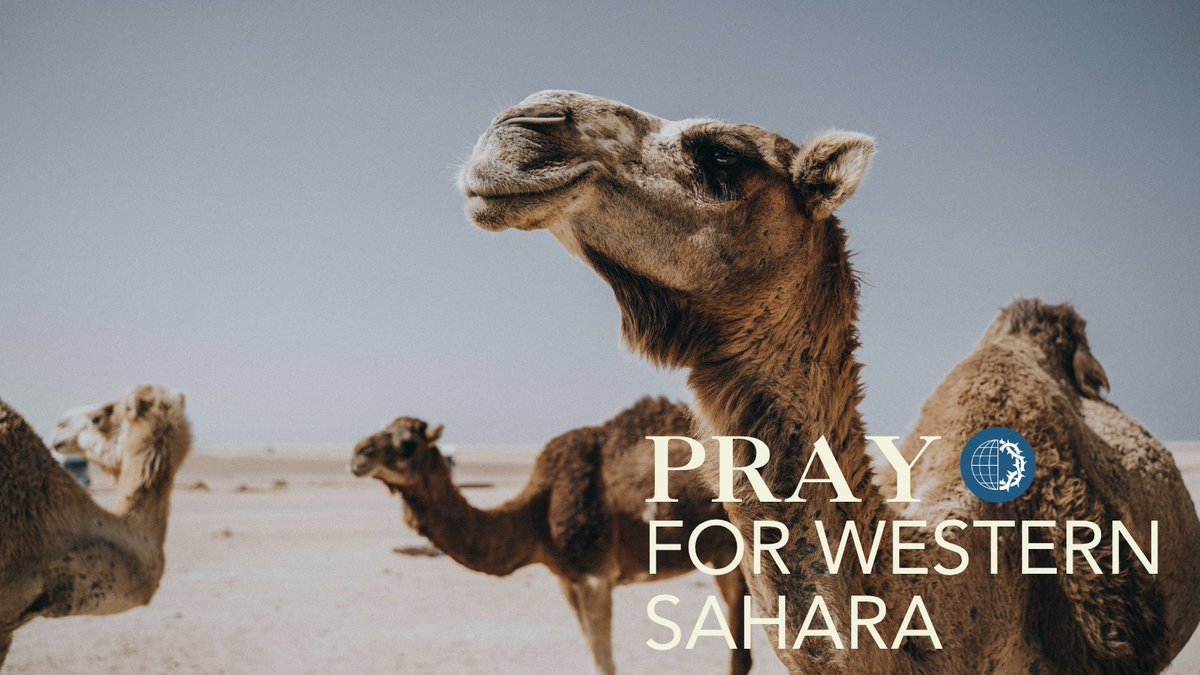 VOMC's tweet photo. Western Sahara: Pray for ministry workers who share the Gospel despite the risk of imprisonment.

#WesternSahara #PersecutedChurch #Christian #Pray #VoiceoftheMartyrsCanada https://t.co/LBCTk8lUzD