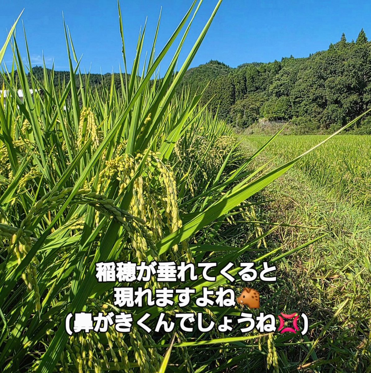 Daybreakerco's tweet photo. 運動後のご褒美が
アイスになっちゃうのは
仕方ないよね。
だって今日も頑張ったし。 https://t.co/5Z5CsYEdUs