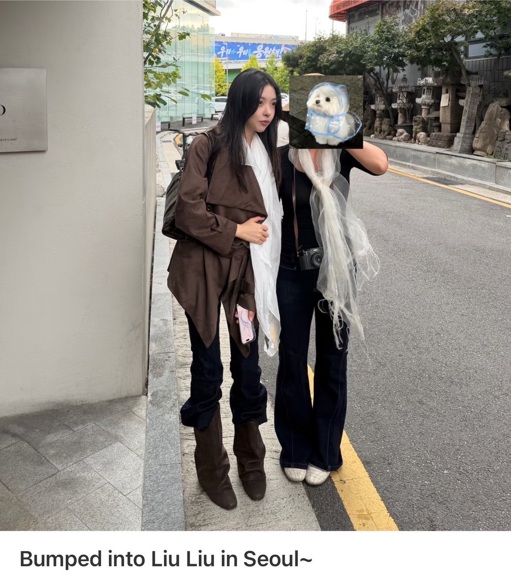 xuluyangs's tweet photo. liuliu is so cute i’m so obsessed aaaaa her solo stans are so adorable too pls liuzhou bumped into one of them today 😆 i get it i’m also a liuliu solo stan who ships liuzhou since zhou seems good to her 🙂‍↕️

#Loveactuallys5 #liuzhoucp https://t.co/1w85lxt6DZ