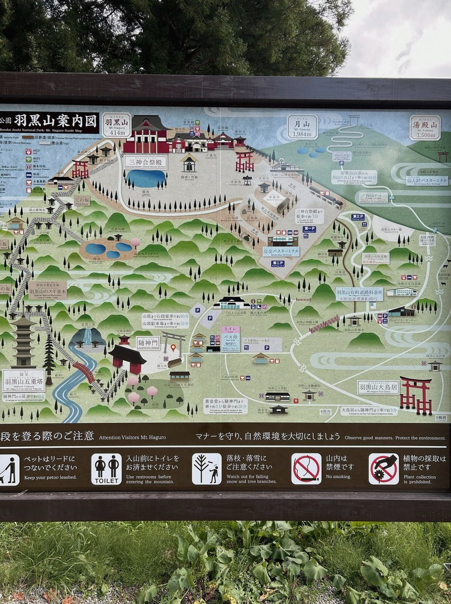DSharmanOnline's tweet photo. これでツアー円盤化はなくなったか？？？頼む、武道館は諦めてないぞ https://t.co/8s56qIshdL