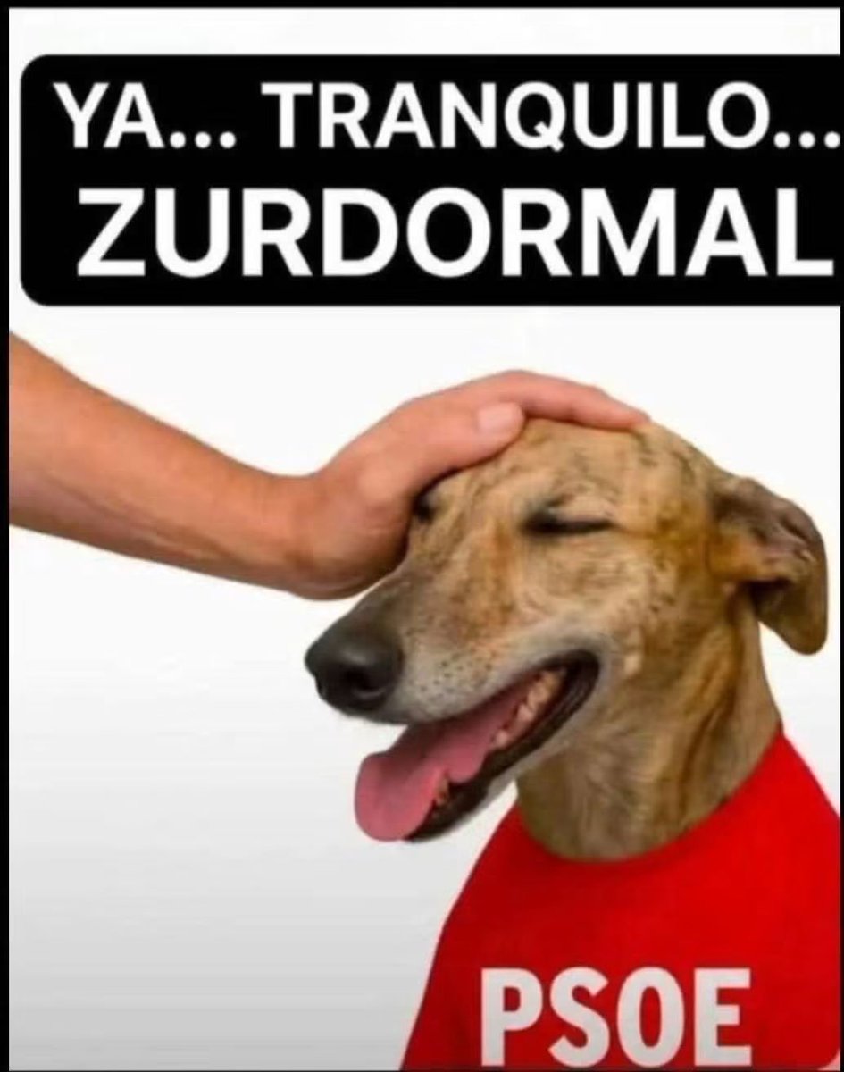 XuacuSpain's tweet photo. @Ciro2Ciro https://t.co/zldJoY7hSp