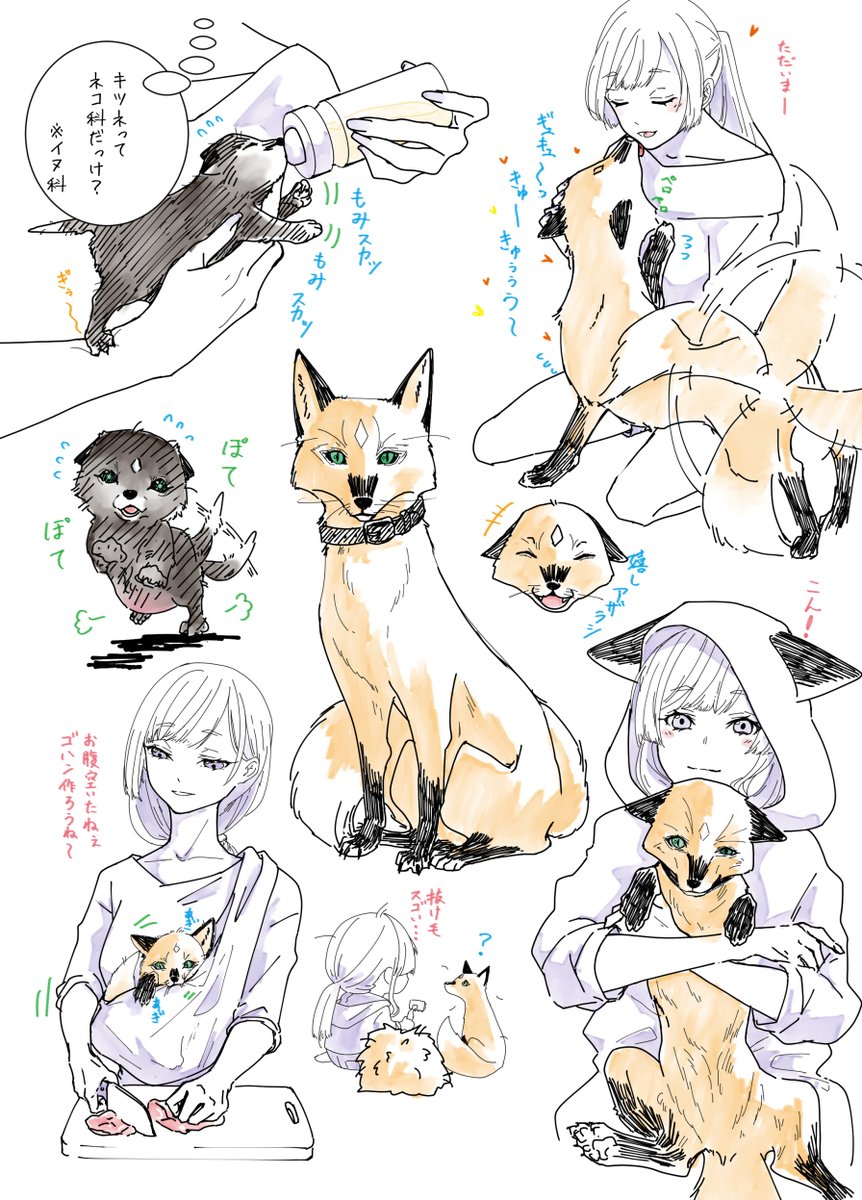 TabunnInu's tweet photo. 🦊🐙 https://t.co/uohPZq4sIP