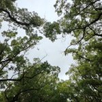 Photo by 9 ᕦ(⩌֊⩌)ᕤ (@9arby)