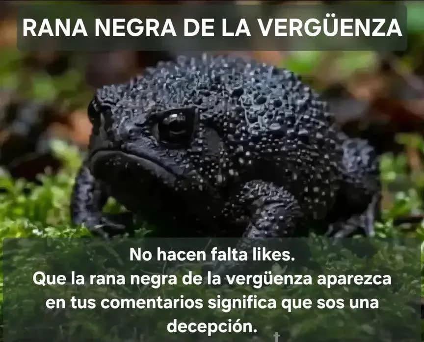 XuacuSpain's tweet photo. @La_SER https://t.co/lG3ozBDfIR